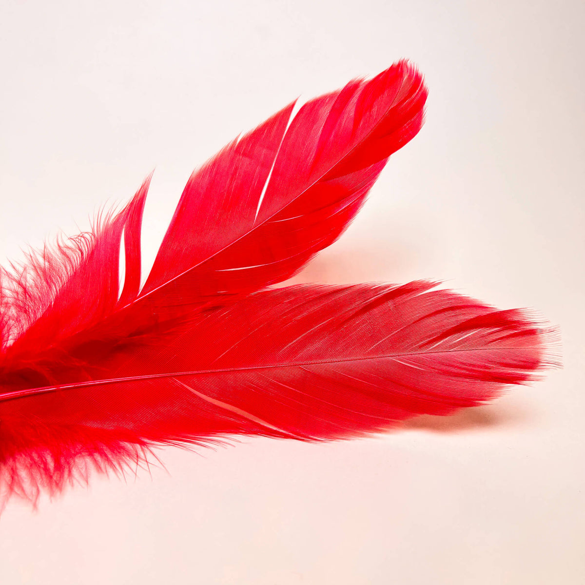 Be Naughty Tease-Me Kit