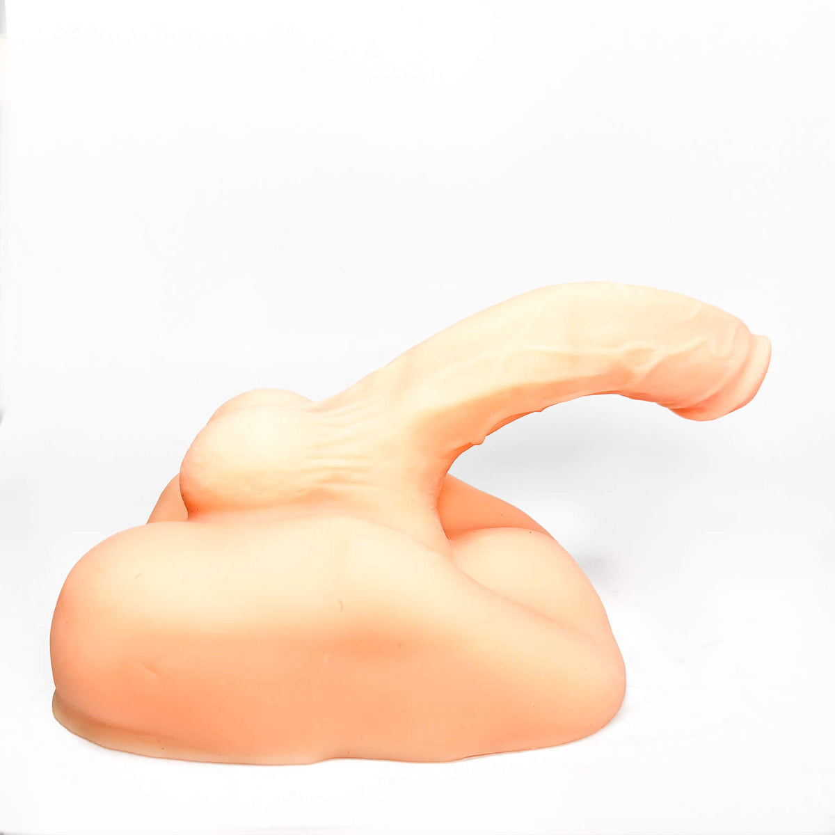 The Rider’s Choice 2-in-1 Dildo &
Anal Masturbator