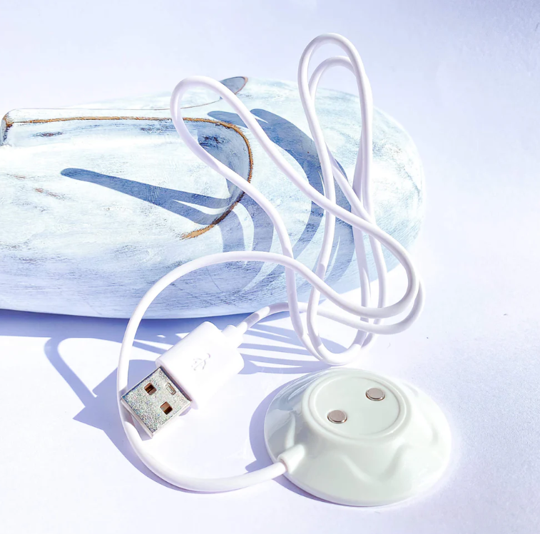 Rose Vibrator Charger Eccentric Playroom Essentials Rose Vibrator Charger Eccentric Playroom Essentials
