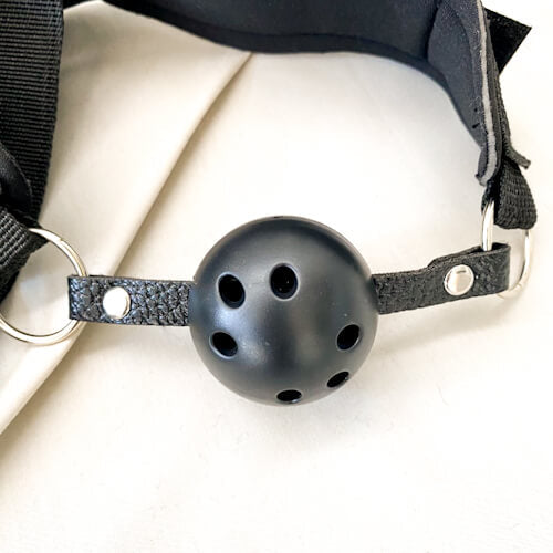 Neck & Wrist Cuffs with Ball Gag