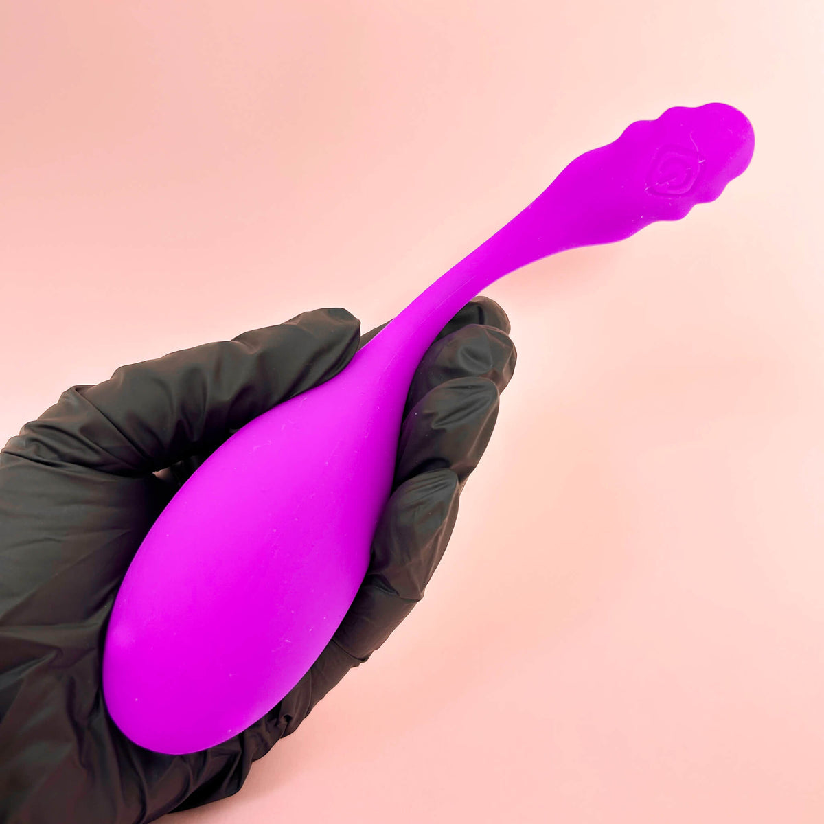WhisperWink Long-Distance Insertable Egg Vibrator (AppControlled)